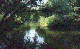 Shenango River